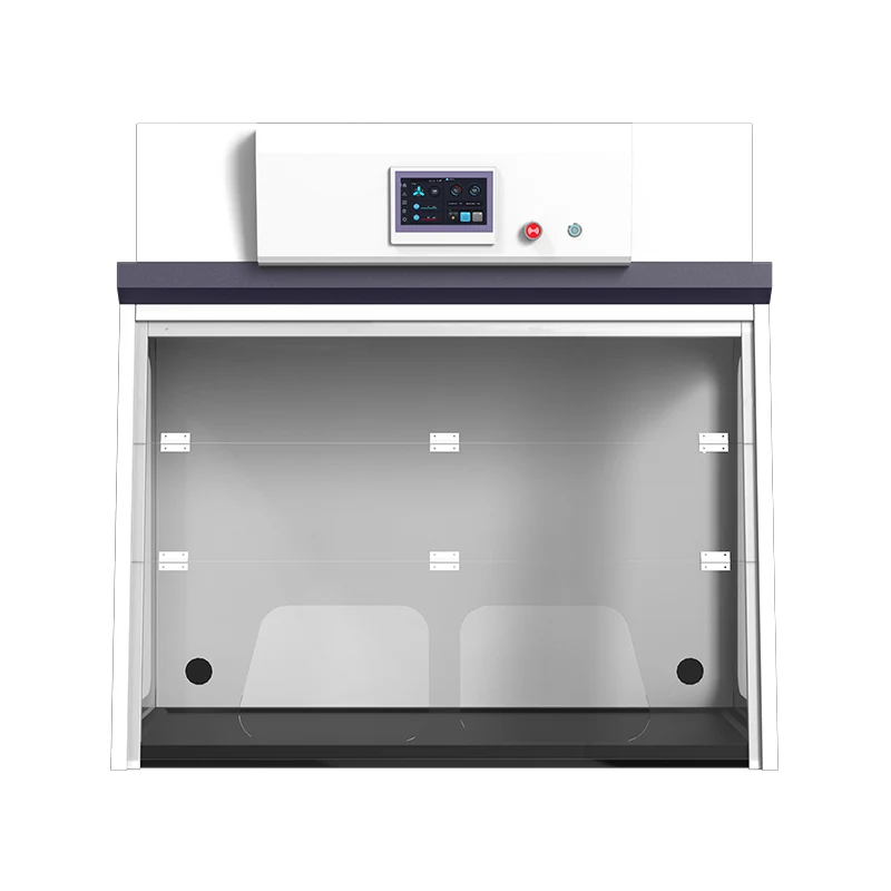 Ductless Lab Steel Fume Hood